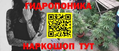 apvp Севастополь