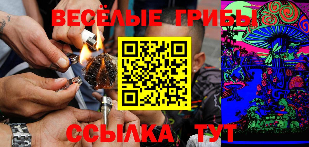 Симферополь  Галлюциногенные грибы мицелий  Вход с VPN  Галлюциногенные грибы Psilocybe 